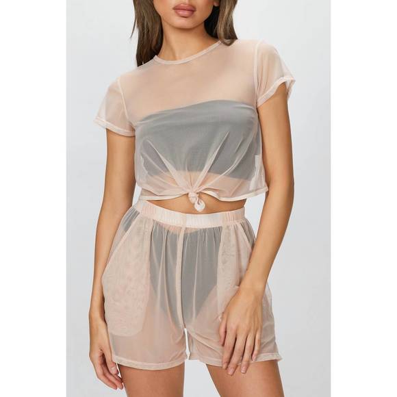 NEW BETH RICHARDS mesh tee in ballet - Picture 1 of 2